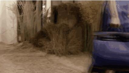 日常买菜帆布包,帆布包买菜专用