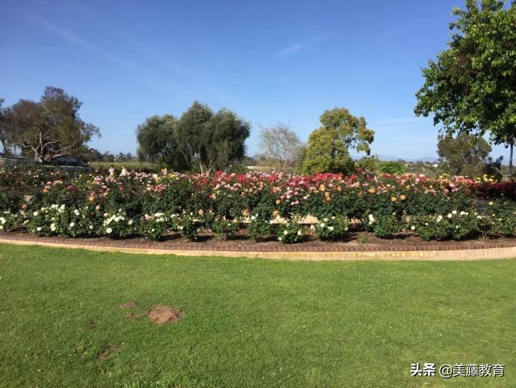 丹佛大学到底多厉害,留学丹佛大学怎么样