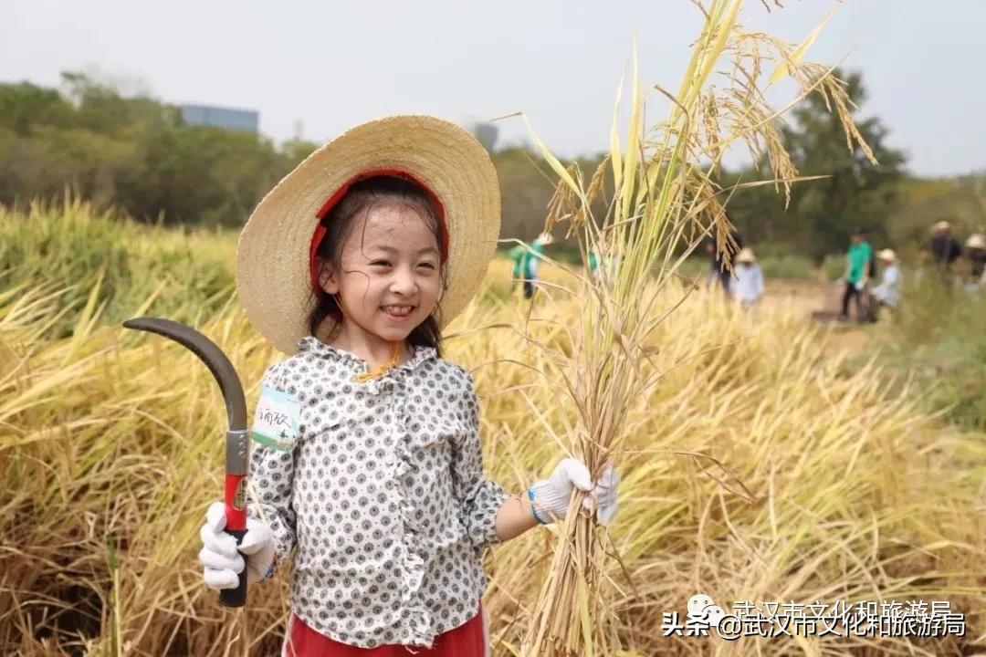 板栗葡萄采摘园,板栗桠葡萄采摘园