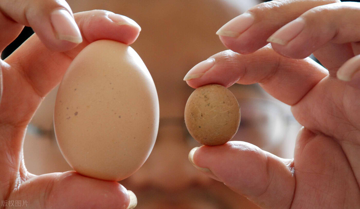 睾丸体积小无精子可以治愈吗,男性附睾发育小精子密度低