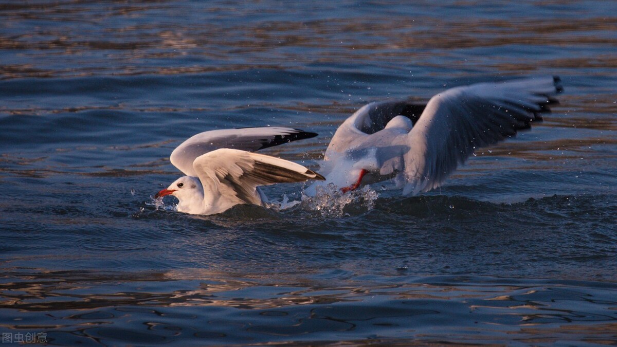 代位清偿最高法判例,最高法第166号指导性案例