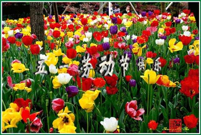 五一快乐表情包抖音,五一劳动节表情包动态图片