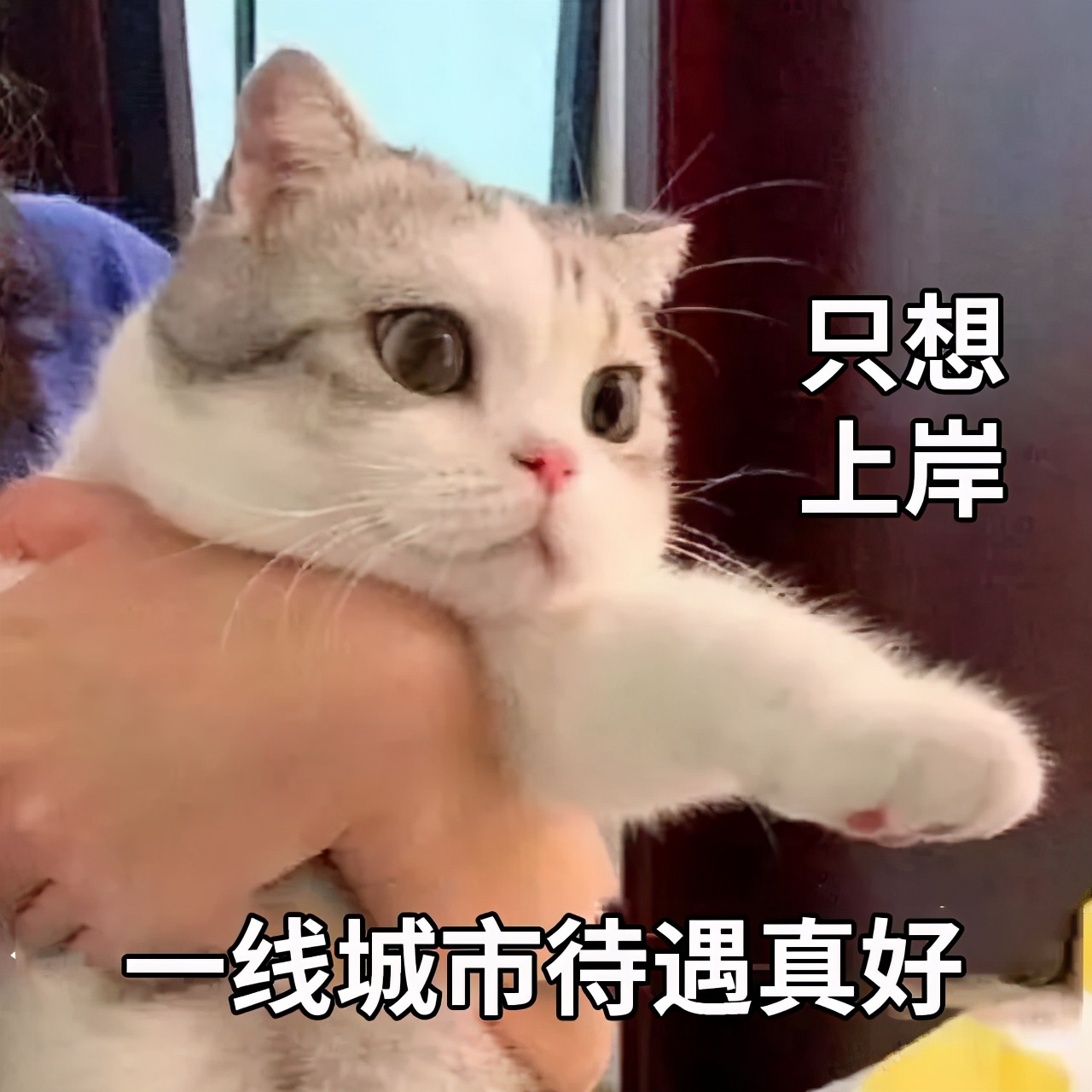 统计局调查队工资一月多少,国家统计局调查队工资由哪里发放