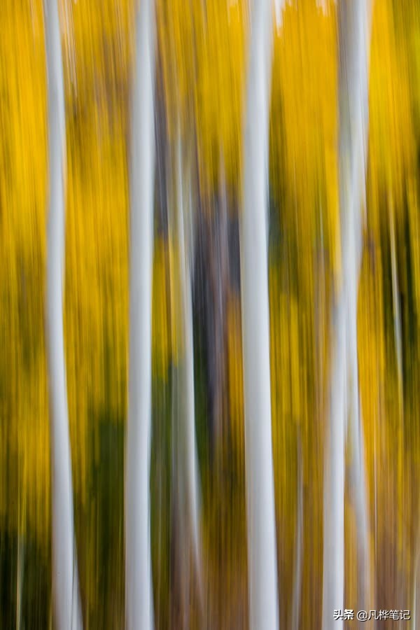 抓拍运动人物拍摄技巧,摄影技巧拍视频风景