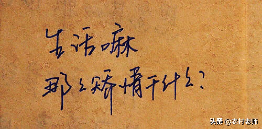 这个姐夫很矫情,但是姐姐却很爱他