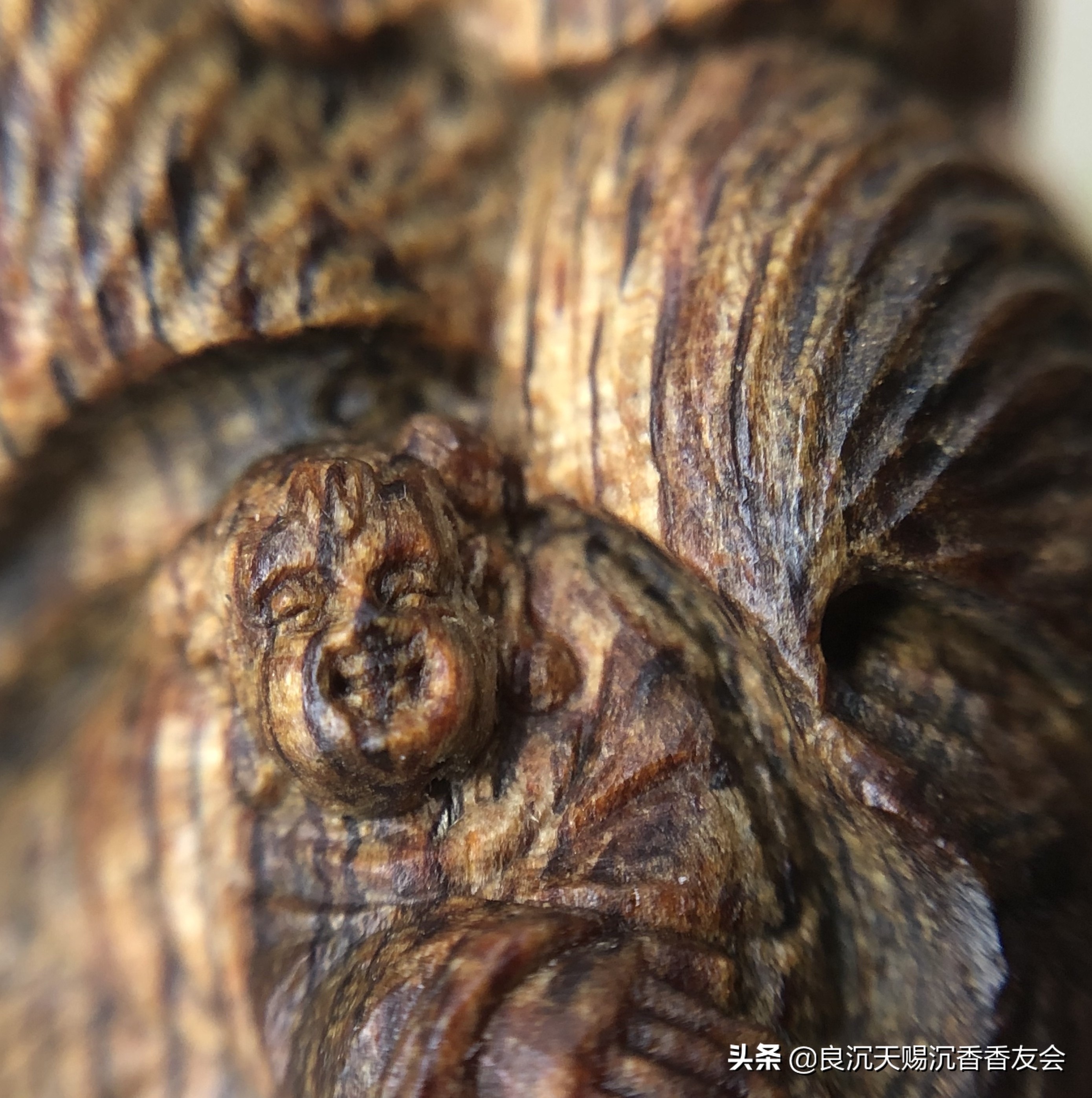 沉香的纹理鉴别方法,怎么通过沉香的味道辨别真假