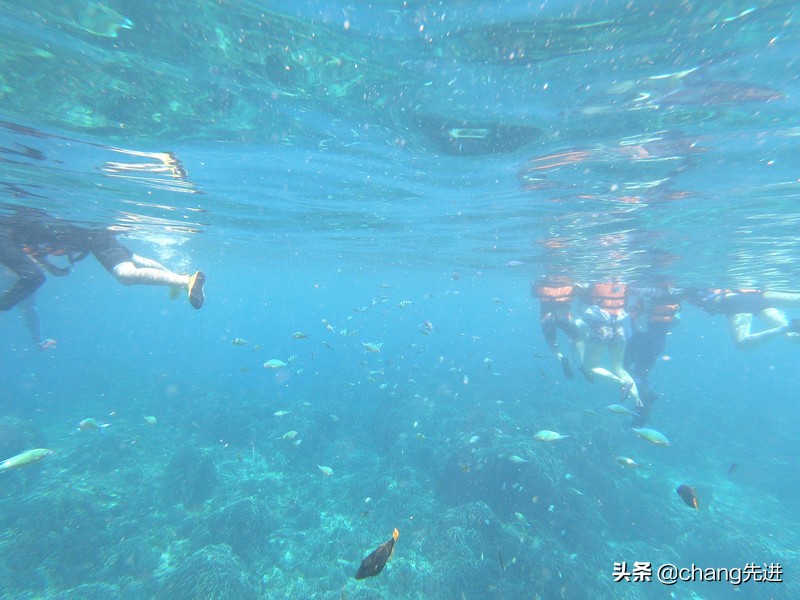 泰国普吉斯米兰跟团浮潜,泰国普吉岛自由潜水皇帝岛