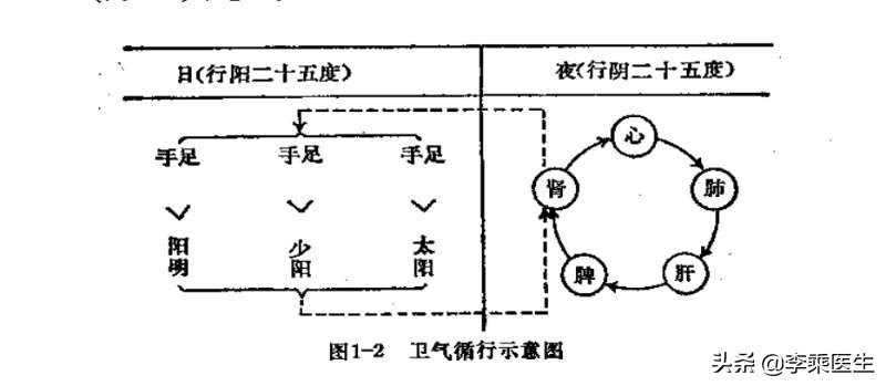 经络学与养生,经络腧穴学说