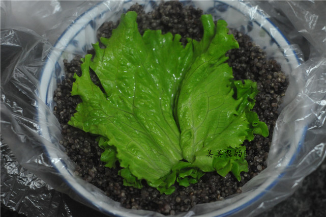 大米饭团超简单做法,不用海苔的紫米饭团自己在家做