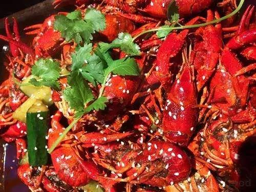 成都周边田园旅游攻略,成都冬季最理想的旅游线路