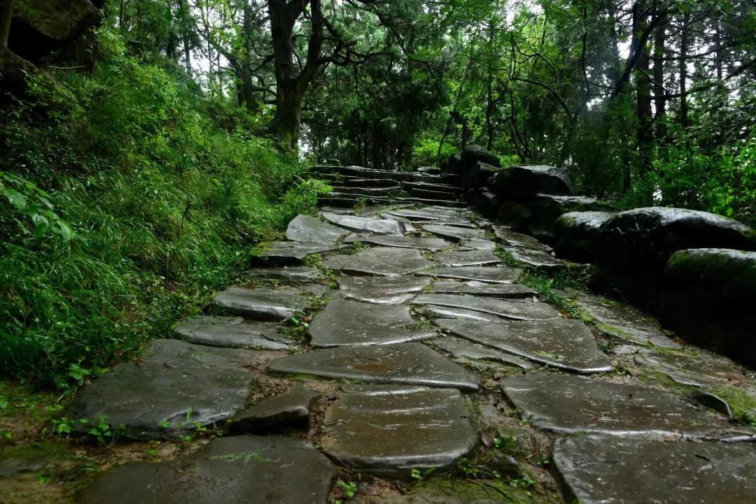 秦始皇张飞,秦始皇冬游