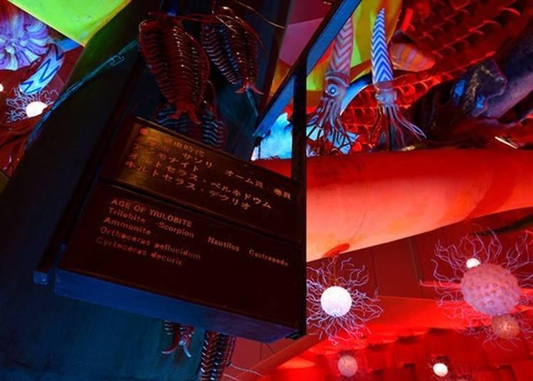 仿佛误入另一个世界的震撼景色,大阪万博公园太阳之塔