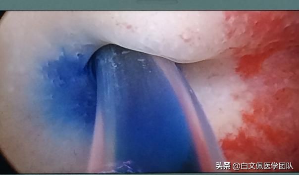 北京世纪坛妇科,北京世纪坛医院妇产科专家