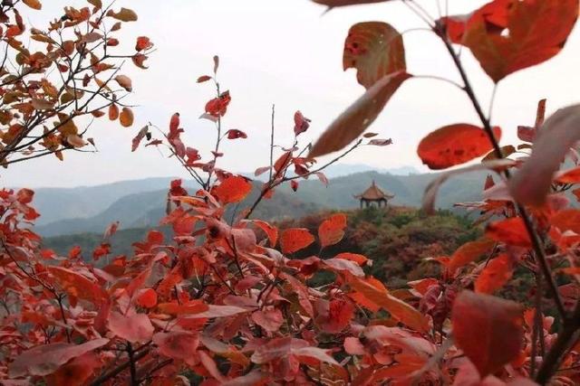 济南旅游景点推荐带孩子玩,济南旅游景点推荐适合带孩子