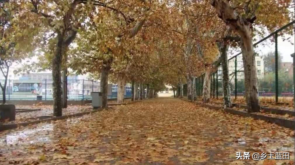 韩鹏飞||蓝田城关中学赋(修订版)