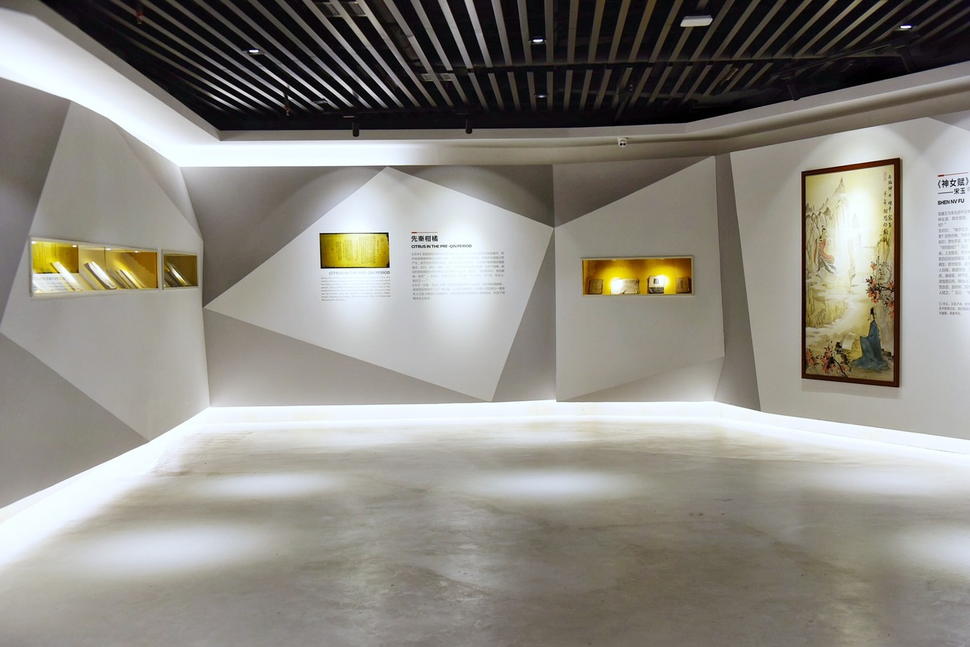 重庆市忠县柑橘园,柑橘之乡忠县