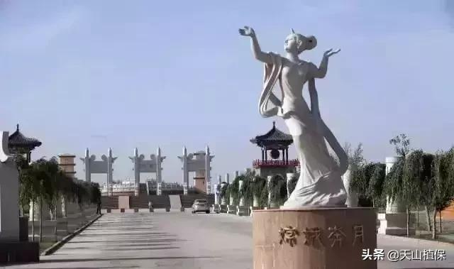 伟大的新疆,伟大的阿勒泰