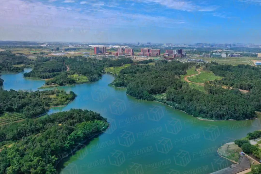 成都这个生物医药领域的“闯入者”凭啥吸引京东方辉瑞等名企？