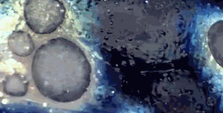 建盏和宋代斗茶有什么区别,宋代斗茶盛行用的建盏什么来头