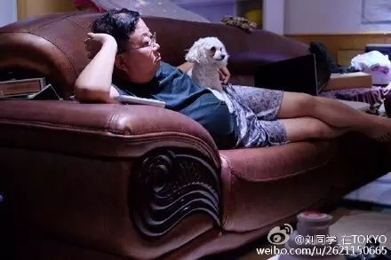 冲动下养猫，你和你的猫现在是怎样的生活？