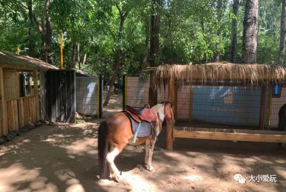 盘点北京适合遛娃的六个地方,周末免费遛娃好去处北京