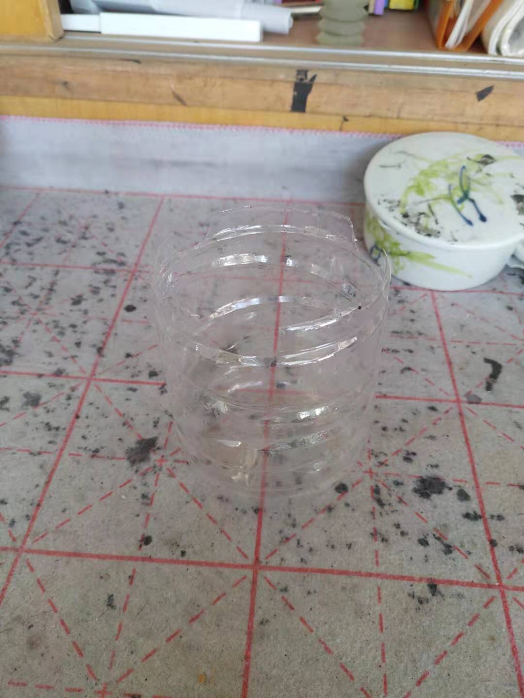 龟菜共生种植技术视频,龟菜共生系统详解