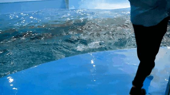 端午节遇上檀溪谷，奇幻海洋世界美爆你的视觉、味觉！