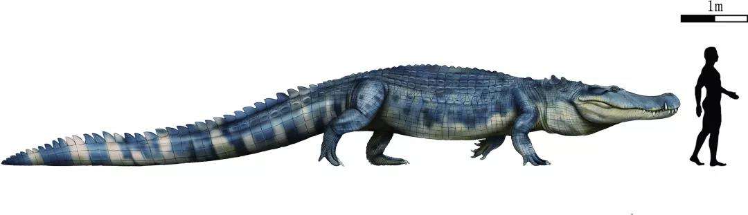 除了恐龙还有哪些已灭绝的生物,史前生物除了恐龙还有什么