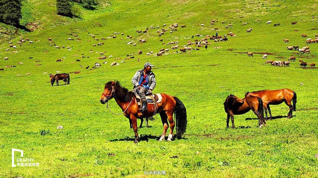 独库公路通车攻略,独库公路官宣