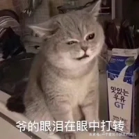 天涯明月刀手游氪金方面,天涯明月刀2023年不氪金的职业