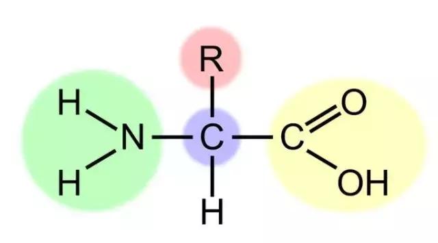 高中化学实验易错知识点,物理化学生物学科知识点总结
