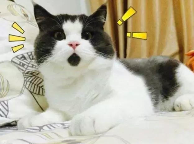 扫雷游戏进化史,扫雷游戏全国排名