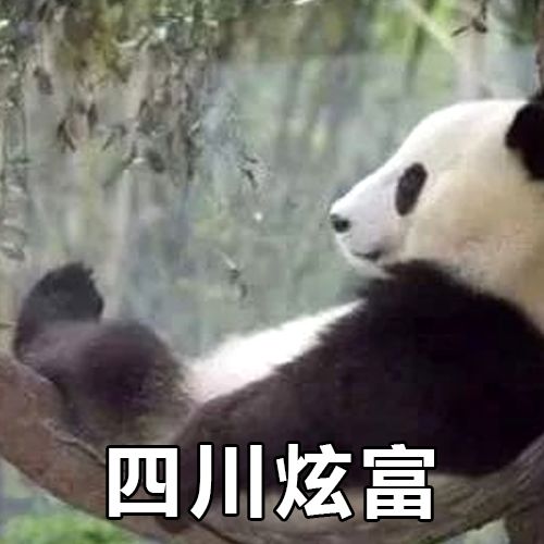 各个地区表情包排名,各省人最爱发的表情包