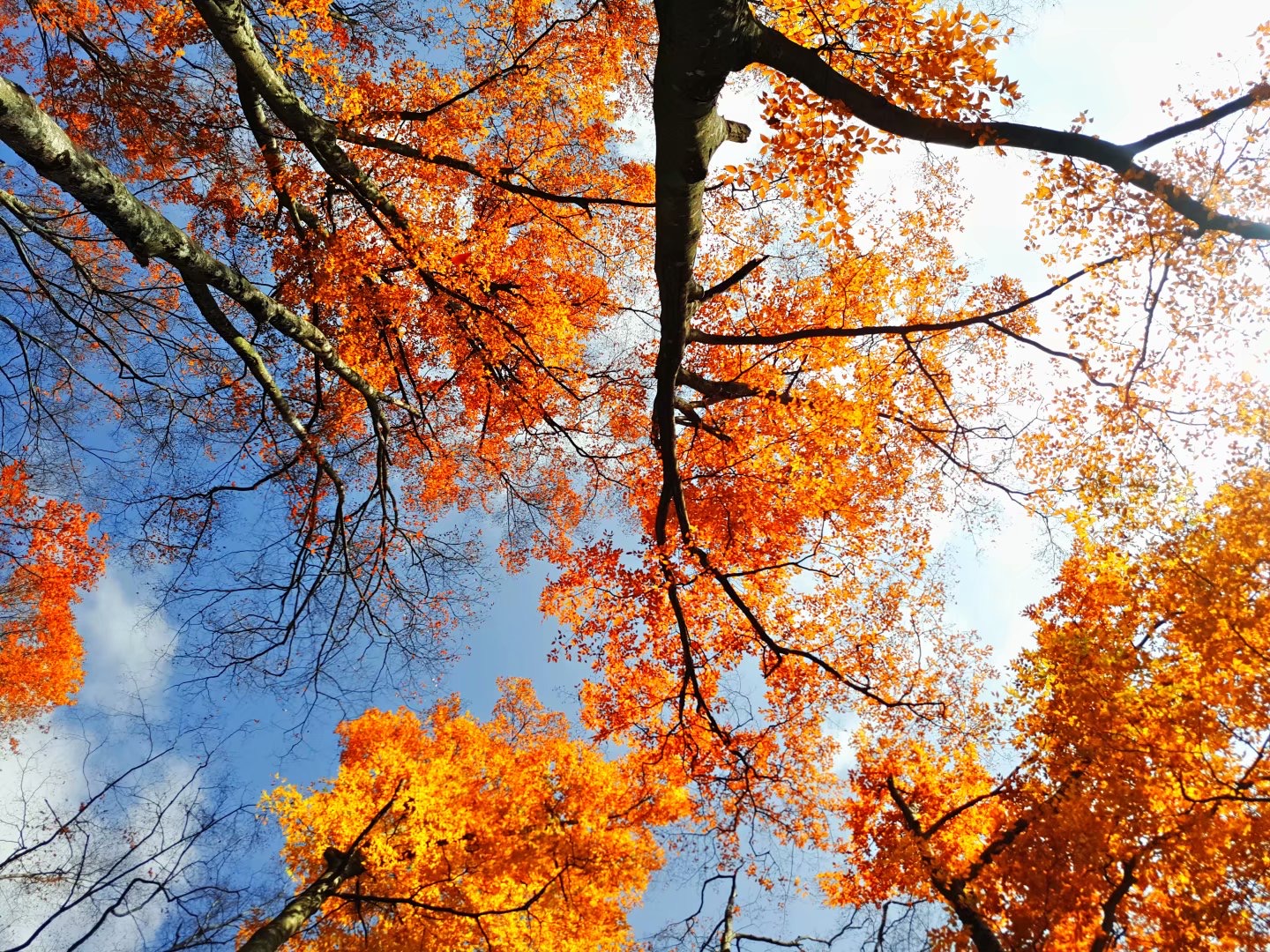 行摄山水视频大全,行摄美景