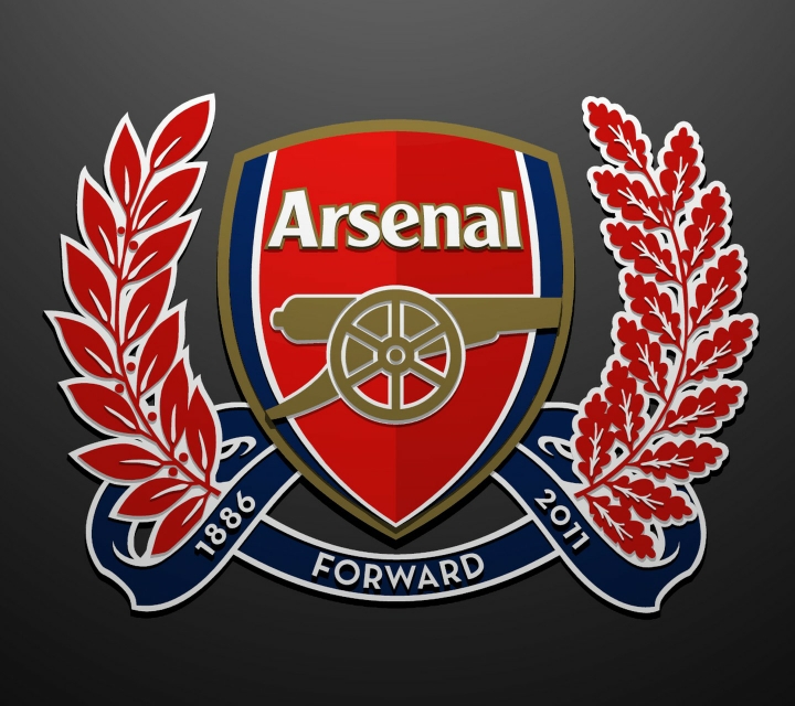 各足球队队徽大全,30个球队的队徽