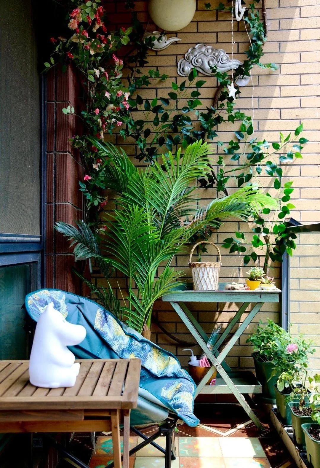 适合懒人家庭种菜100种,家里种菜这3种就够了