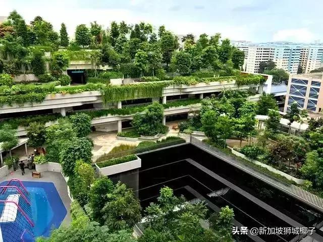 新加坡旅游攻略推荐花园,新加坡花园最新消息