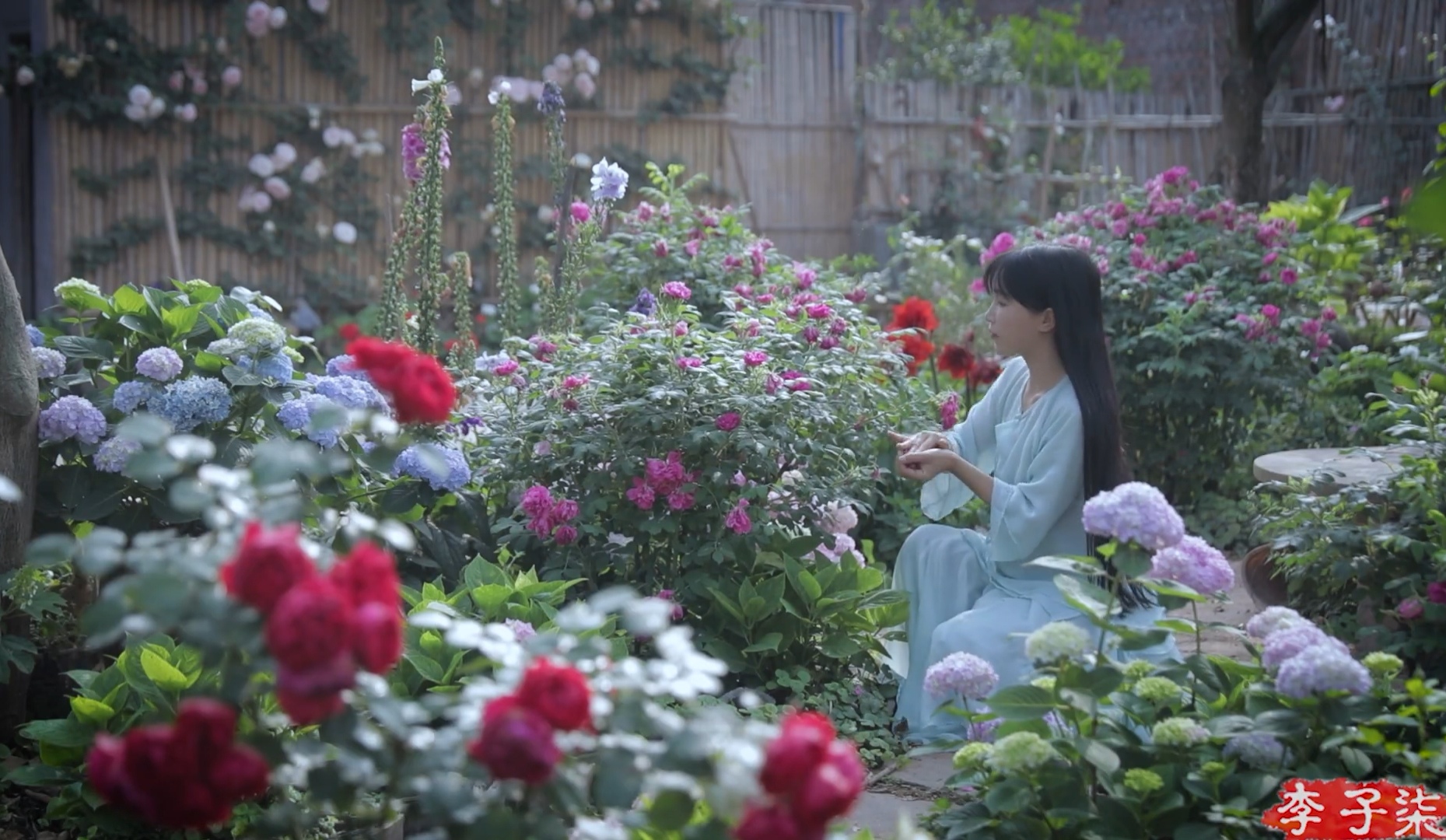 李子柒茶文化视频,李子柒视频中用的茶壶