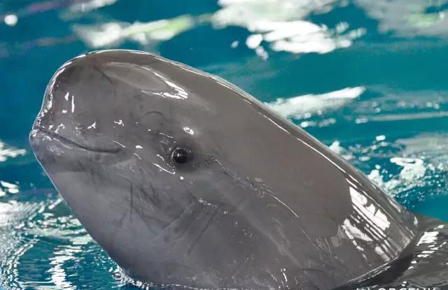 在宜昌的路上最美的风景,去感受大宜昌的美