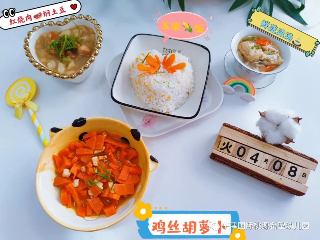 常德桃源公办小学招生政策,常德桃源高中招生计划