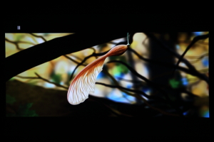 有人工智能就不用学习了吗,有人工智能就有无限可能