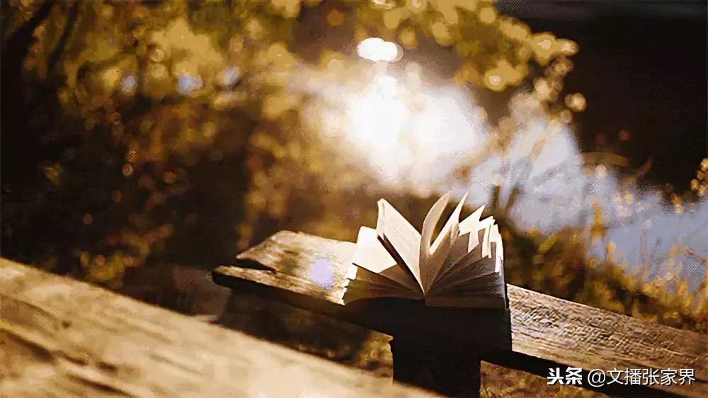 夜读不要抱怨不幸,夜读不要在深夜里做决定