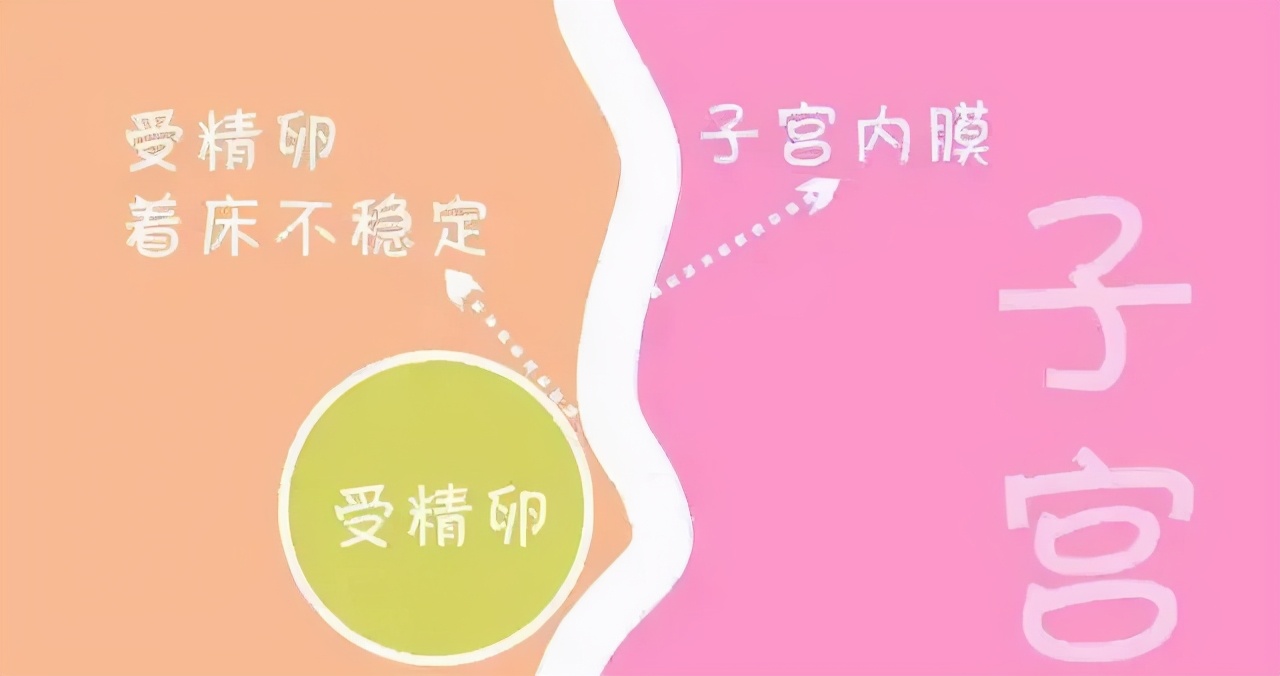 流产子宫内膜薄怎么调理,调理子宫内膜薄的食谱