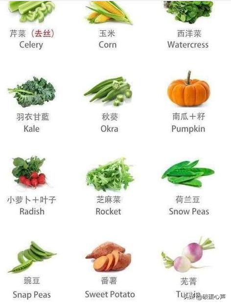 鹦鹉喂养的诀窍是什么,如何给鹦鹉鸟食物喂养好