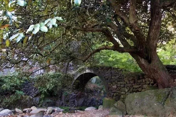 绍兴最美古镇排名,绍兴十大最美乡村