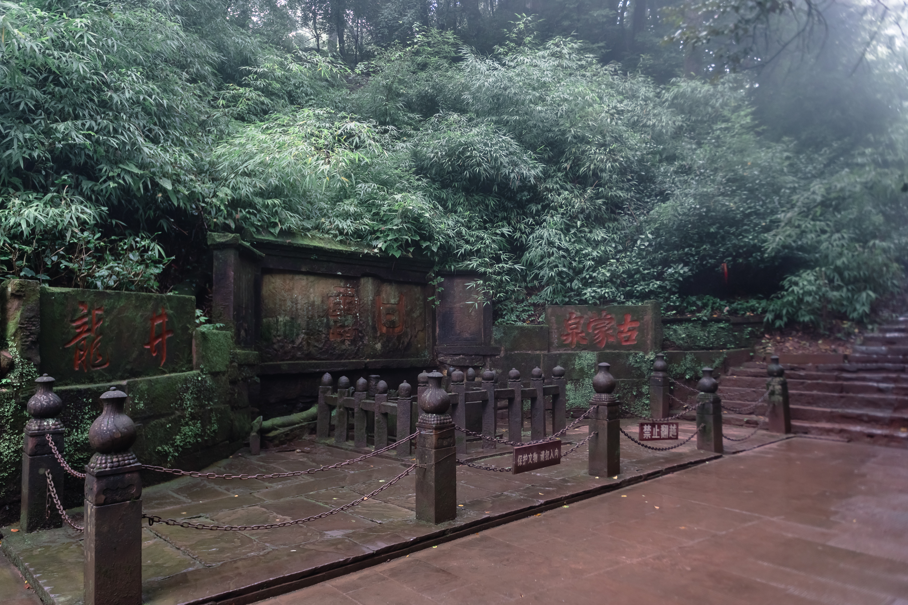 蒙顶山茶高山雀舌,蒙顶山茶叶有哪些