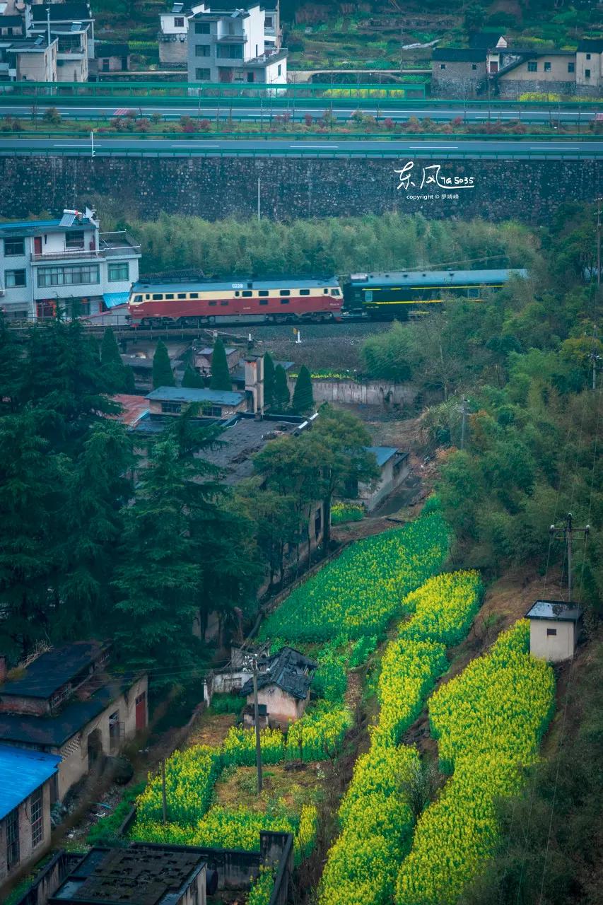 安徽春天美丽的视频,安徽美丽的春天