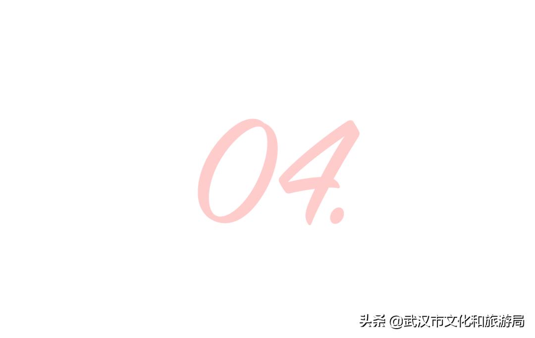 武汉东湖樱花门票,武汉看樱花的景点