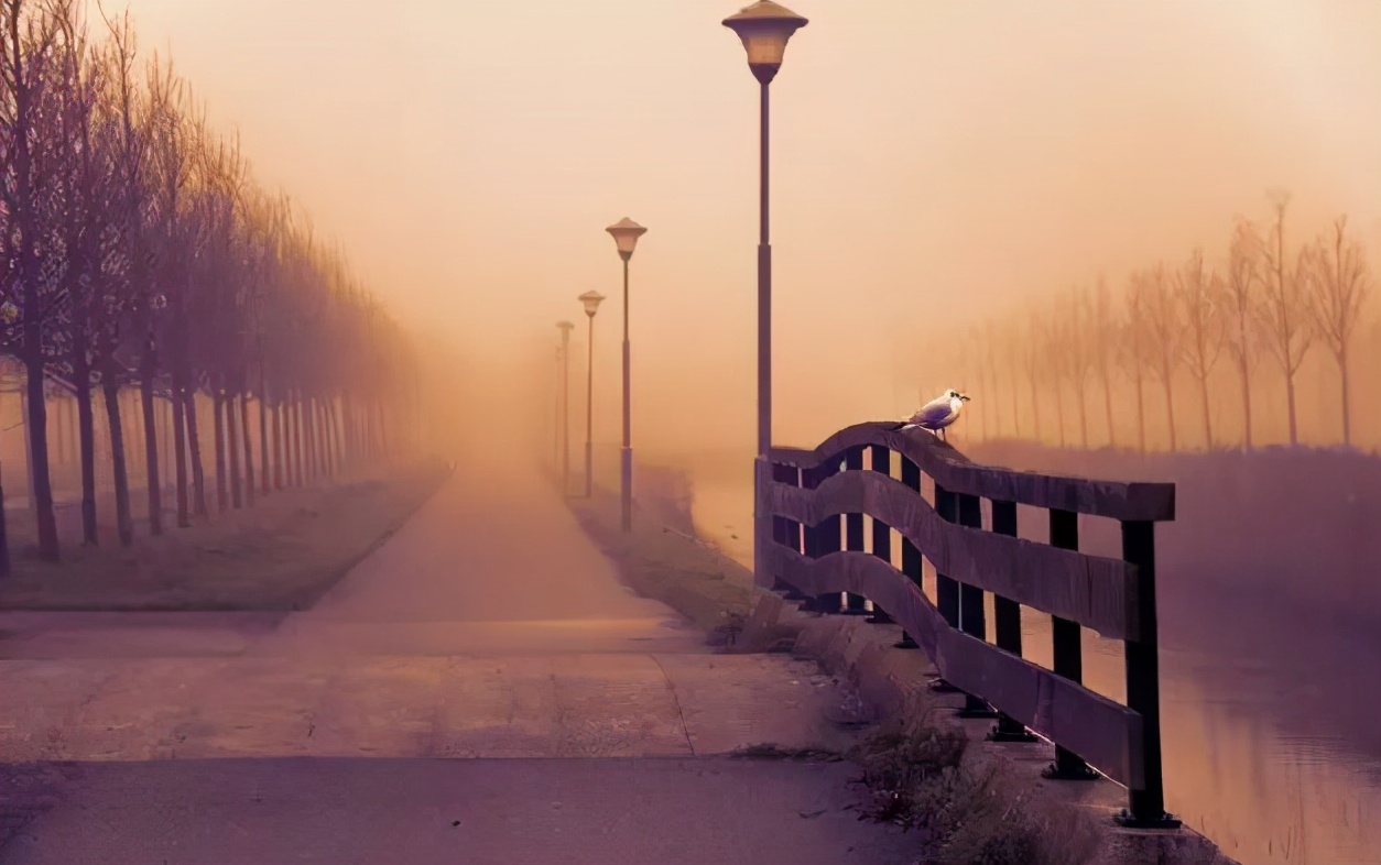 人死后为什么有头七的说法,为什么人死后有头七的说法