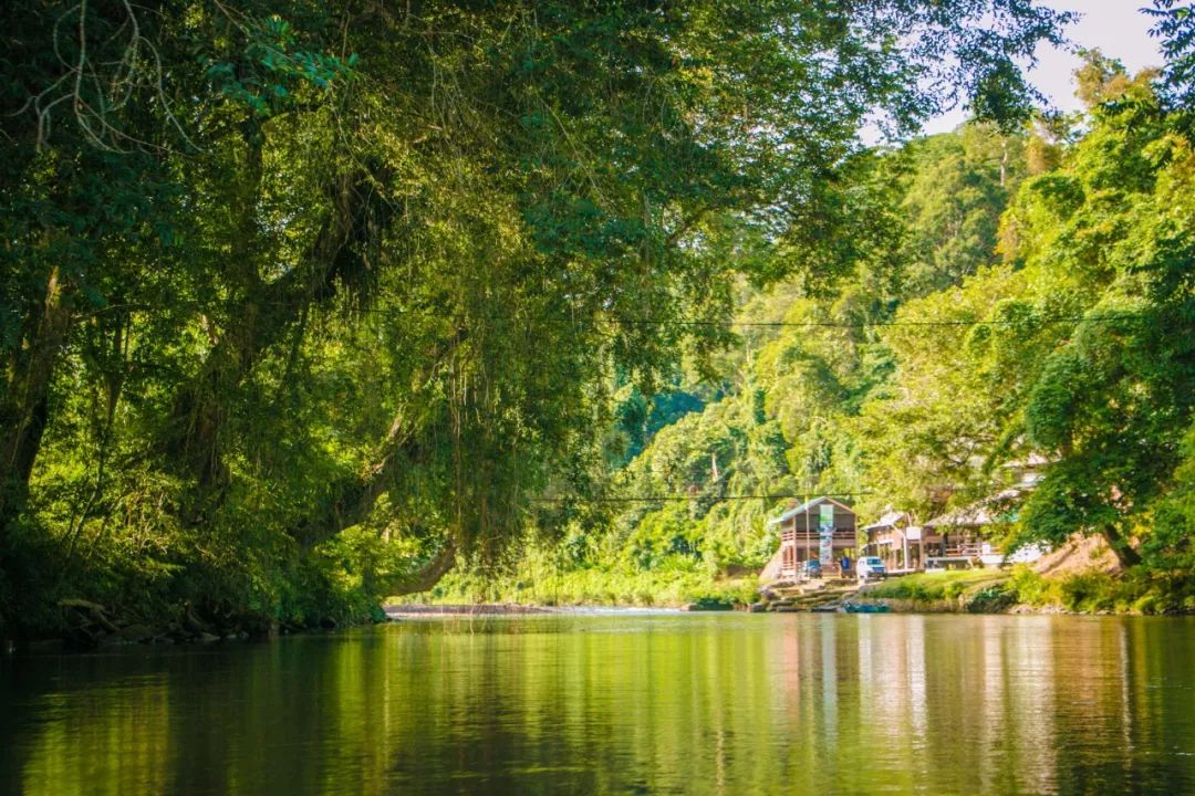 用黄金做房顶，人均5辆车，这个东南亚神秘国度比阿联酋还土豪